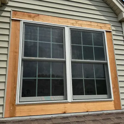 Gallery. Hung windows. WarmDreams recent works