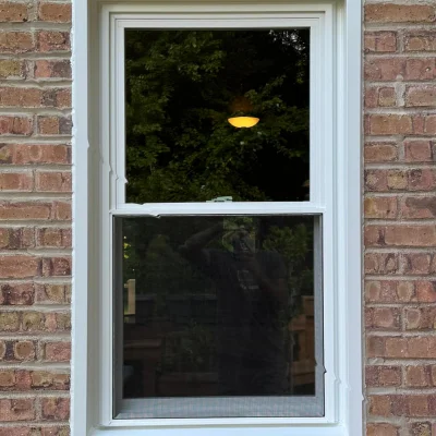 Gallery. Hung windows. WarmDreams recent works