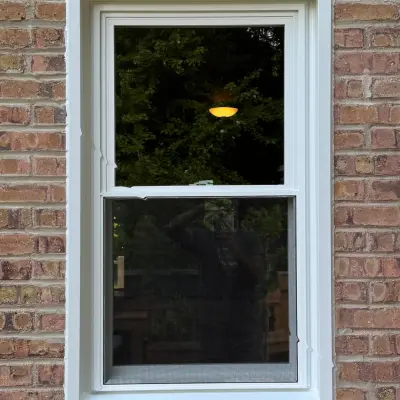 Gallery. Hung windows. WarmDreams recent works