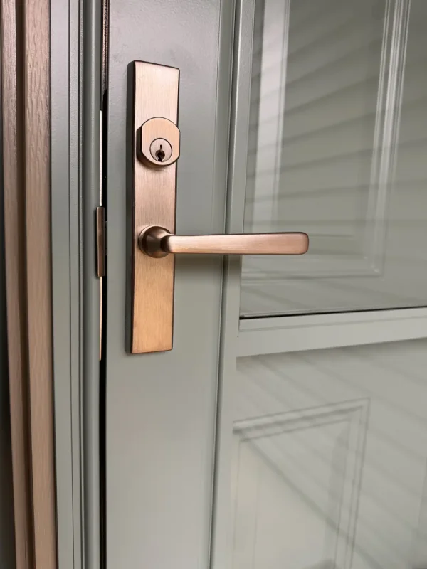 10 Windows and Entry Door Replacement in Carol Stream.