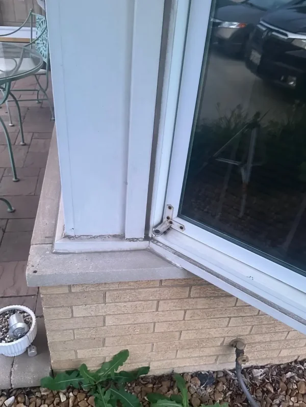Windows Replacement in Tinley Park.