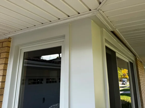 Windows Replacement in Tinley Park.